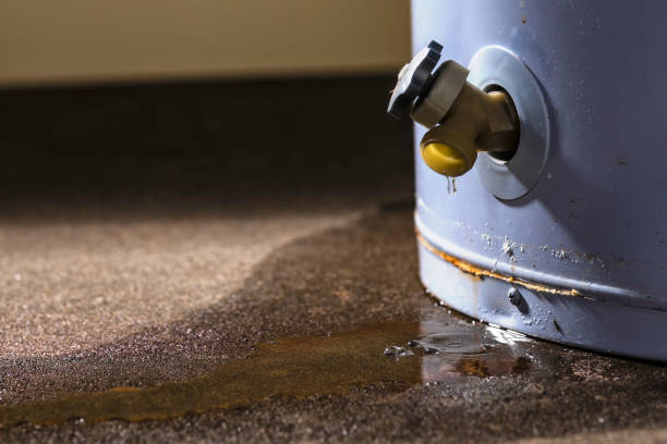 Best Local water damage restoration  in Gallatin, MO