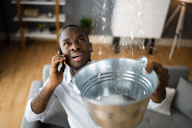 Best Water damage restoration near me  in Gallatin, MO