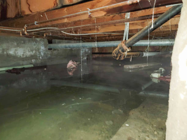 Professional Water damage restoration in Gallatin, MO