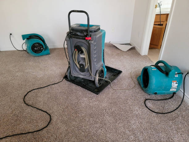 Best Flood restoration services  in Gallatin, MO