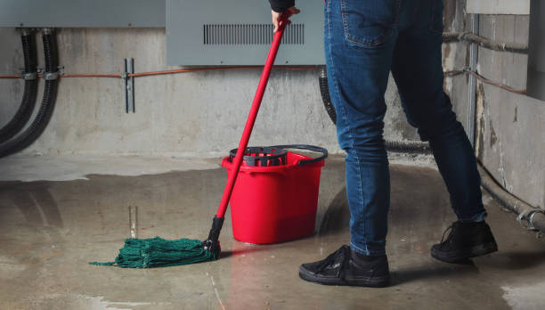 Best Flood damage cleanup  in Gallatin, MO