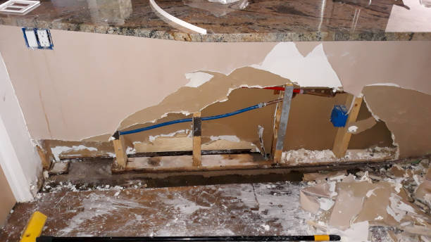 Best Fire Damage Restoration  in Gallatin, MO