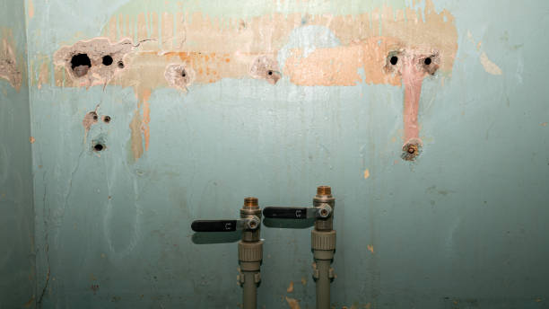 Best Professional water damage repair  in Gallatin, MO
